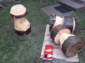 IMG-20200404-WA0006
